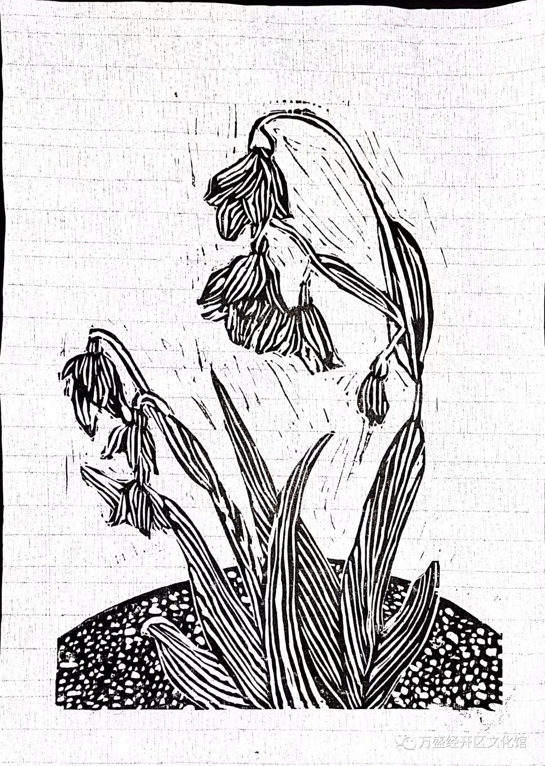 1693383325204351.jpg